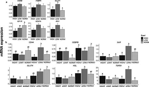 Effects Of Prenatal Nutrition A Sex‐dependent Effects Of The Download Scientific Diagram