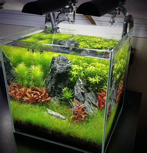 10 Best Nano Aquariums For Saltwater And Freshwater Tank Setups