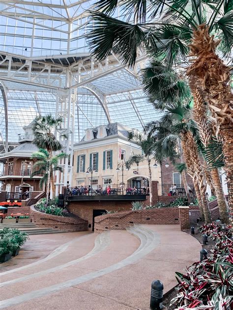 My Trip To The Gaylord Opryland Resort w/Soundwaves... | The Dainty Darling