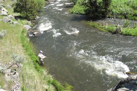 Willow Creek | Montana Angler