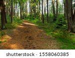 Hiking Trail at Promised Land State Park, Pennsylvania image - Free stock photo - Public Domain ...