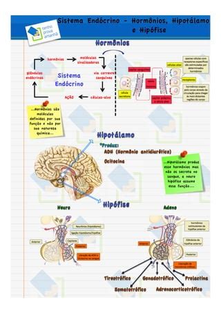 Resumo End Crino L Pis Horm Nios Hipot Lamo E Hip Fise Pdf