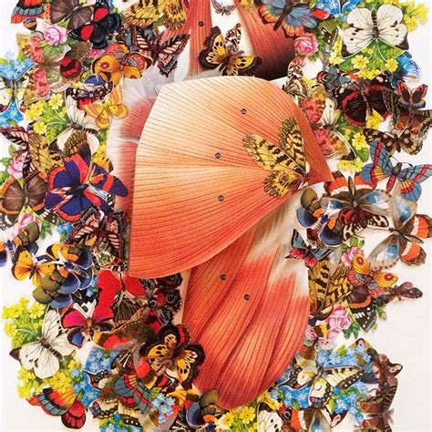 Travis Bedel Mad Collage Cercle