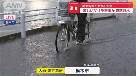 【画像】激しいゲリラ雷雨か 道路冠水 関東各地で大気不安定 ライブドアニュース