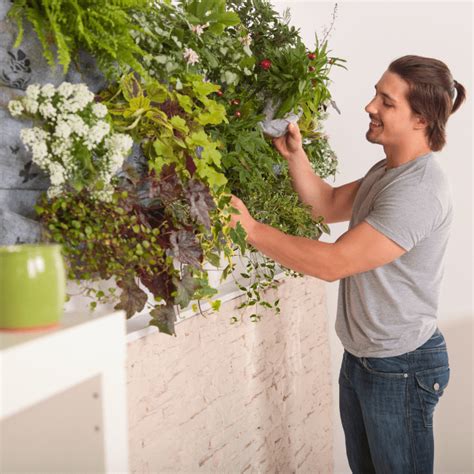 Ultimate Guide to DIY Vertical Gardening – NextGenGardening™