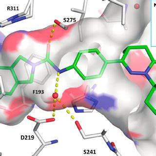 X Ray Cocrystal Structure Of Compound In Complex With The Hnampt