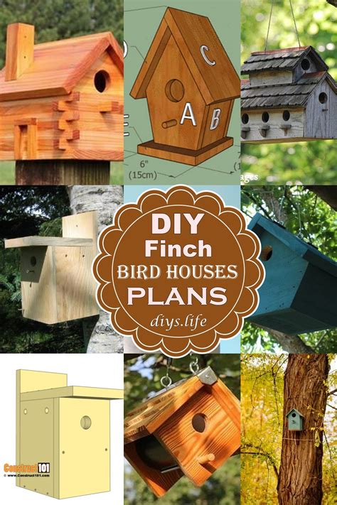 8 DIY Finch Bird House Plans To Make Today - DIYS