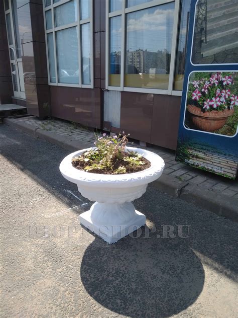 Уличные вазоны