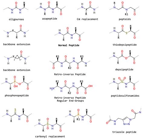 Biomolecules Free Full Text Non Canonical Amino Acids As Building