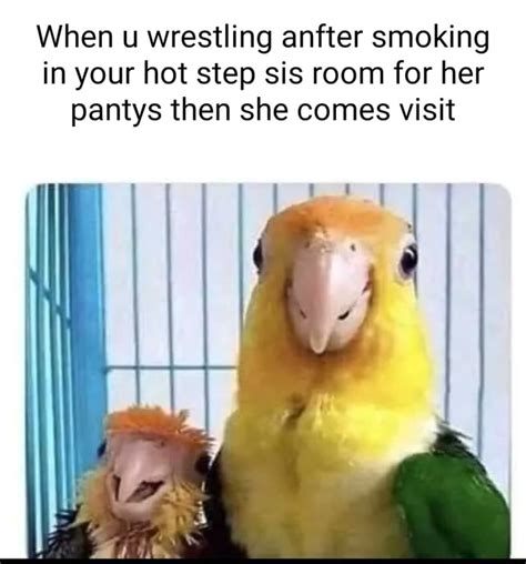 When U Wrestling Anfter Smoking In Your Hot Step Sis Room For Her Pantys Then She Comes Visit