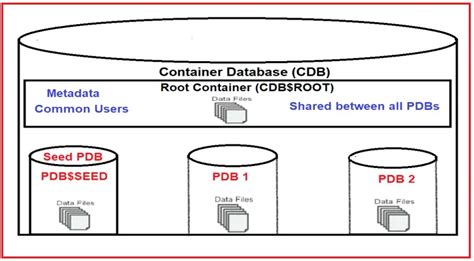 Oracle Multitenant Architecture Dot Net Tutorials