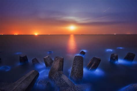 Beautiful Photos of Beaches That Naturally Glow | Reader's Digest