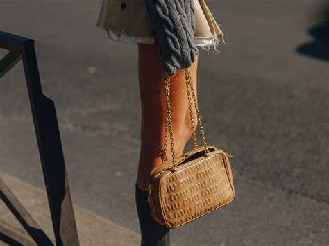 Miu Miu is the Brand of the Year - PurseBlog