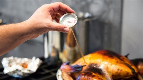 What is Alton Brown's turkey thermometer placement? | The US Sun