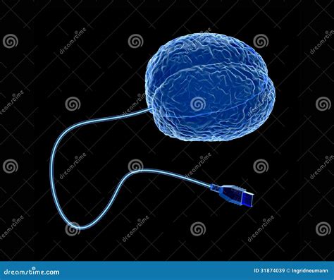 X Ray Brain With Attached USB Cable Stock Illustration Illustration