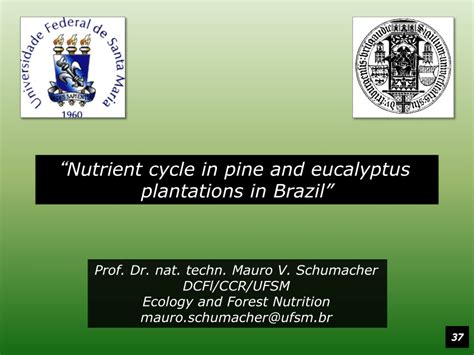 (PDF) Nutrient cycle in pine and eucalyptus plantations in Brazil 
