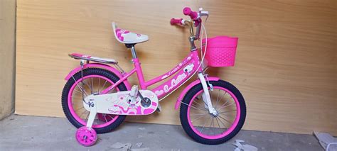 Girls Bike With Training Wheels – Raman Supplies