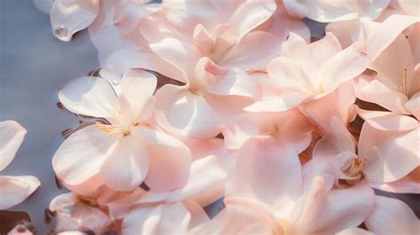 Light Pink Flowers Background Stock Photos, Images and Backgrounds for ...