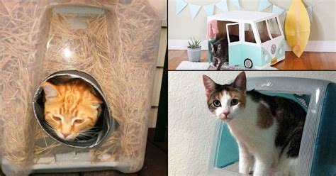 15 DIY Cat House Ideas | How To Make Cat House ⋆ Bright Stuffs