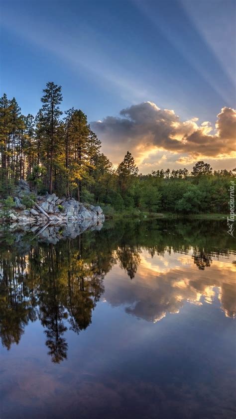 Drzewa Nad Jeziorem Goldwater Lake Tapeta Na Telefon