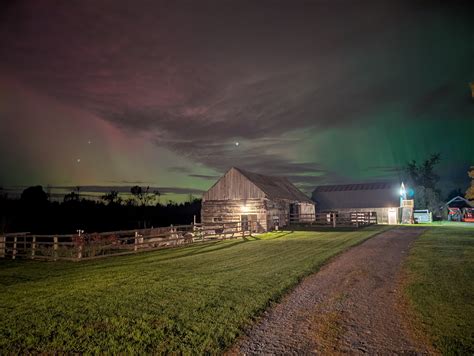 Traditionalists are debating appalachias homestead modern farming tips 7