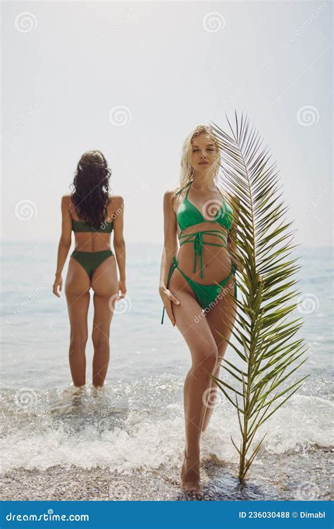 Beach Women In Bikini With Palm Leaf During Summer Vacation Outdoors Stock Photo Image Of Body