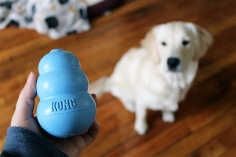 KONG Dog Toy Review: A Must-Have