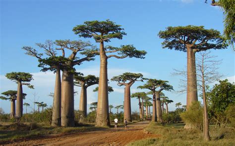 Climate Information - Madagascar