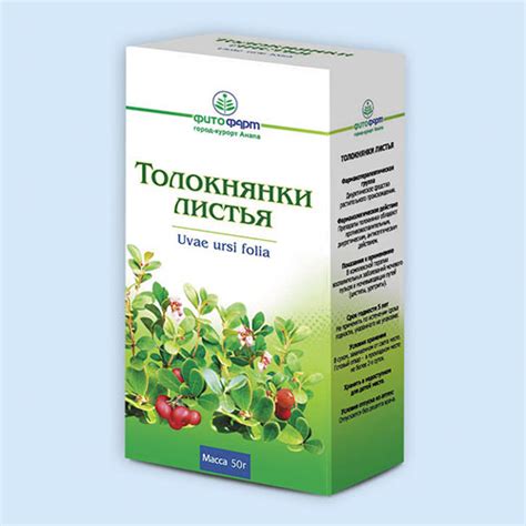 Листья Толокнянки – Telegraph