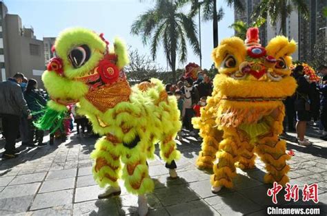 （新春见闻）香港龙狮跃动贺新春