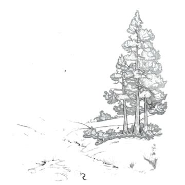 design nature landscape outline coloring page outline nature