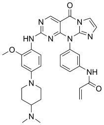 Pyrimido 4 5d Pyrimidin4 1H One Derivatives As Selective Inhibitors