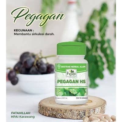 Jual Pegagan Hni Hpai Karawang Spesialis Sirkulasi Darah Shopee Indonesia