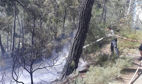 Fethiye deki orman yangını söndürüldü Son Dakika Türkiye Haberleri