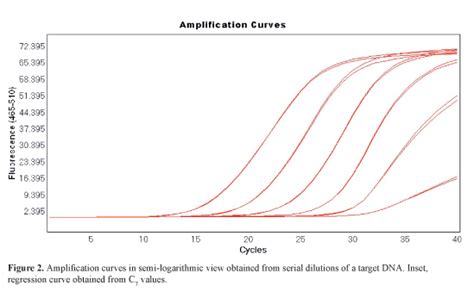 Real Time Pcr Quantification Analysis