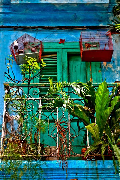 Cuba Art, Cuba Photography, Havana Cuba Picture, Bird Cages, Cuba ...