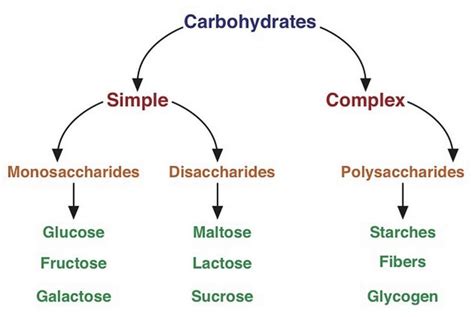 4 2 A Closer Look At Carbohydrates Medicine Libretexts