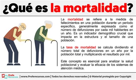 Qué Es La Mortalidad Definición Tasa De Mortalidad