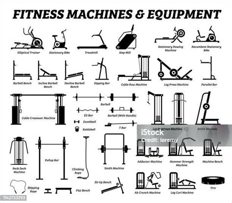 Fitness Cardio And Muscle Building Machines Equipments Set At Gym Stock ...