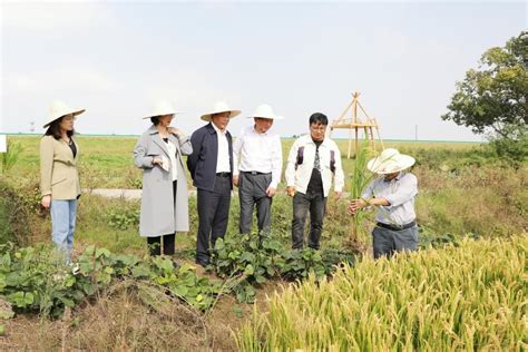 沈其荣院士赴浦口考察全国农业科技现代化先行县项目进展情况