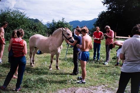 NBU Arkiv Utetevling Hest 001 Norges Bygdeungdomslag Flickr