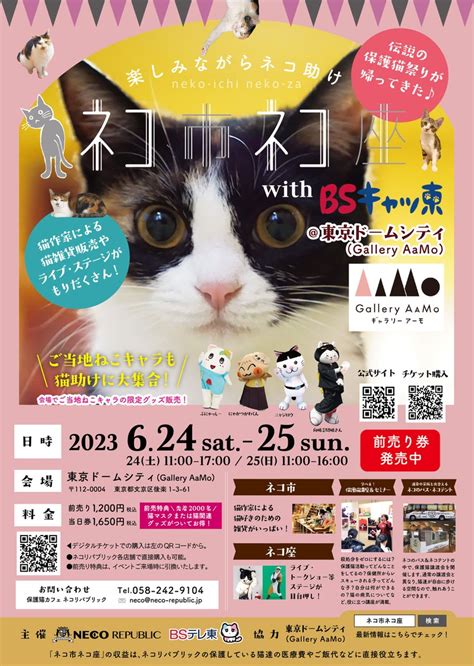 【公式】「ネコ市ネコ座 」楽しみながら猫助け！日本最大級ホゴネコイベント猫が助かる猫祭り On Twitter 開催まで1ヶ月！出店者も