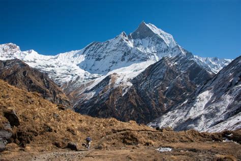 Machapuchare In Annapurna Region Nepal Stock Image Image Of Climber