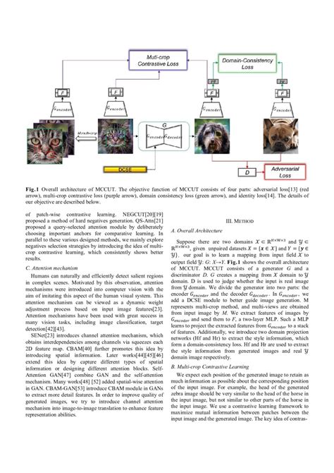 Multi Crop Contrastive Learning For Unsupervised Image To Image