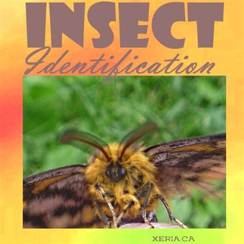 Insect Identification - identify the bugs in your xeric garden | Insect ...