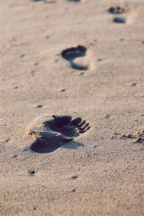 Banco De Imagens De Praia Mar Areia Rocha Pegada Pés Criança