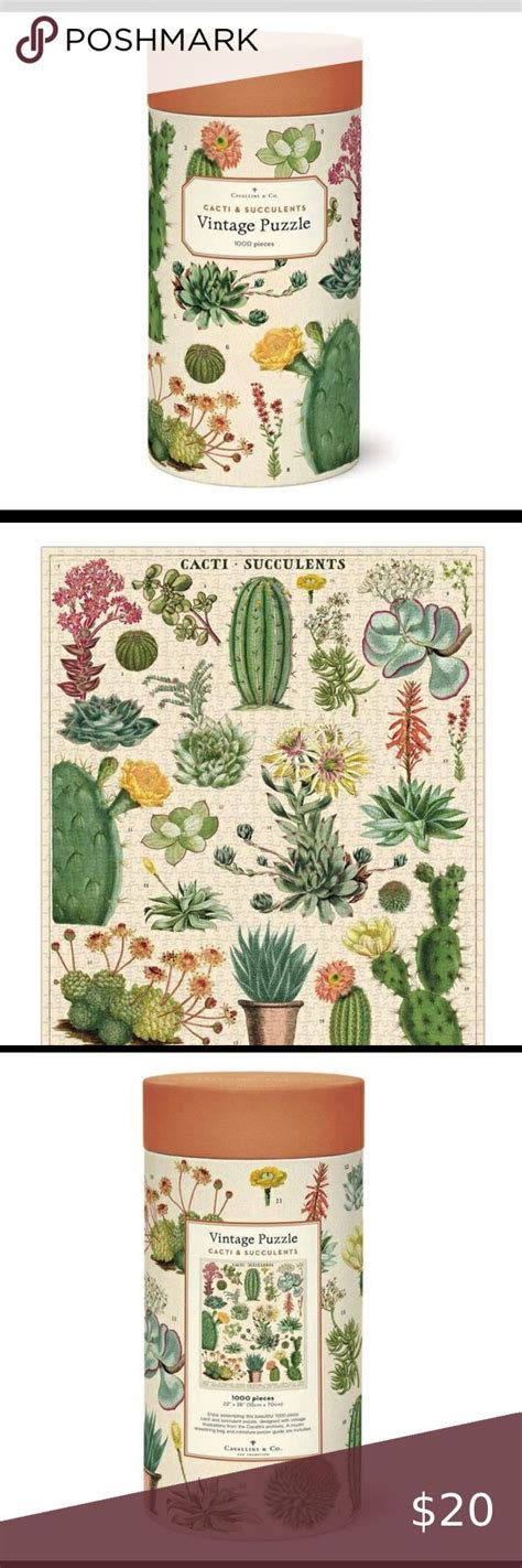 Cavallini Papers Co Cacti Succulents Puzzle Cacti And Succulents