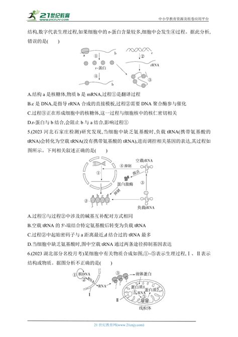 人教版2019高中生物必修二 同步练习题 专题强化练5 遗传信息的传递和表达（含解析） 21世纪教育网