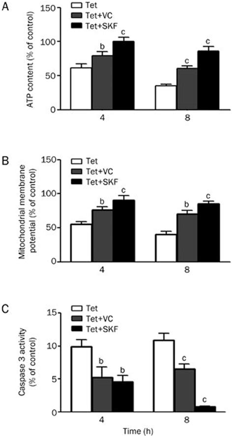 Protective Effect Of Skf And Vc On Mitochondrial Dysfunction Induced By