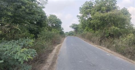 Agricultural Land 4 Acre For Sale In Tindivanam Chennai REI1258884